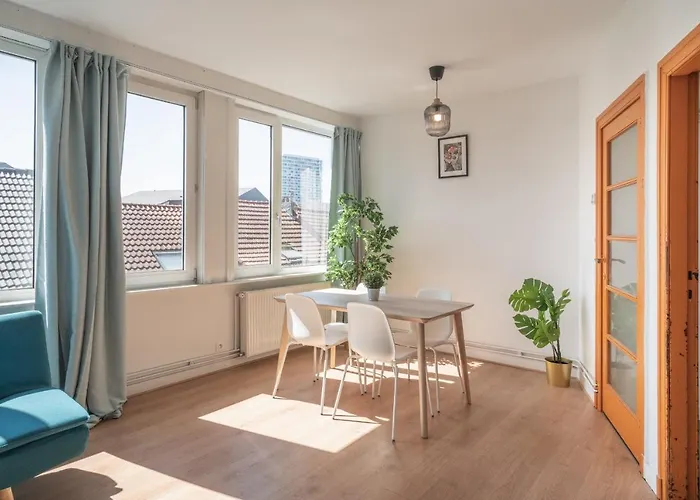 Large Antwerp City Center Apartments