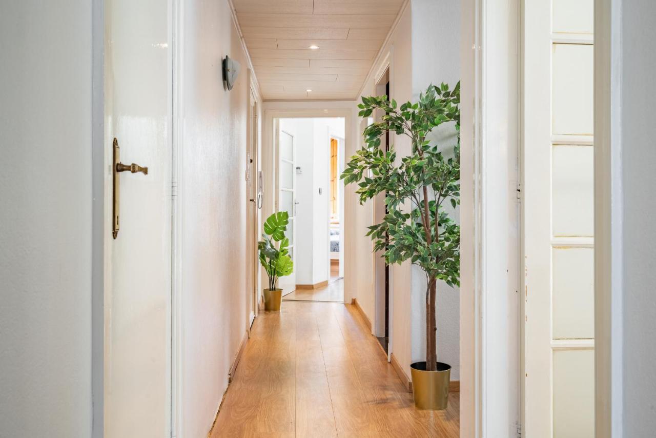 Apartment Large Center *